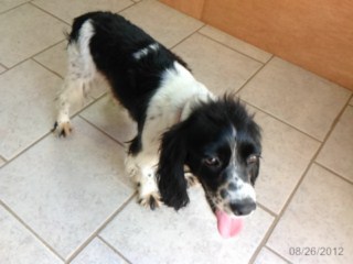 Maggie