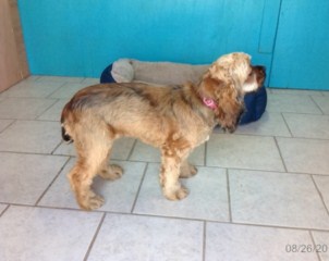 Sadie1
