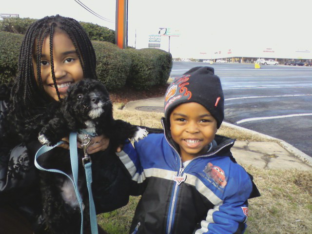 Our Happy Families