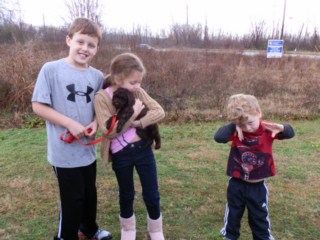 Our Happy Families